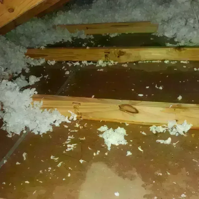 Attic Water Damage in Radford, VA