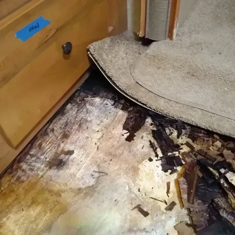 Wood Floor Water Damage in Radford, VA